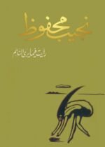 رأيت فيما يرى النائم