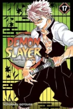 Demon Slayer manga vol. 17