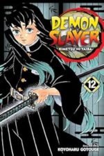 Demon Slayer manga vol. 12
