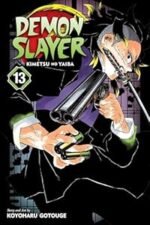 Demon Slayer manga vol. 13