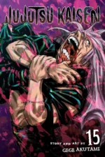 Jujutsu Kaisen Manga Vol. 15