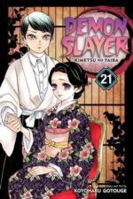 Demon Slayer manga vol. 21