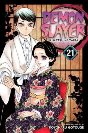 Demon Slayer manga vol. 21