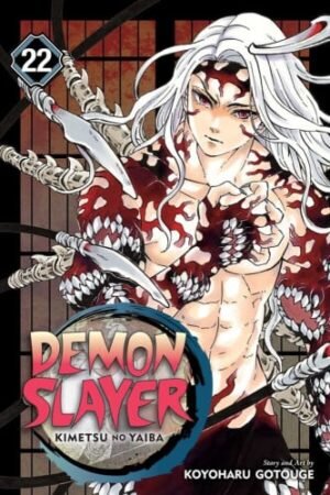 Demon Slayer manga vol. 22