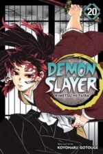 Demon Slayer manga vol. 20