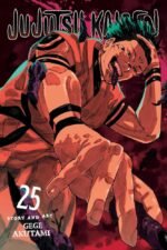 Jujutsu Kaisen Manga Vol. 25
