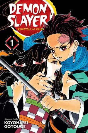 Demon Slayer manga vol. 1