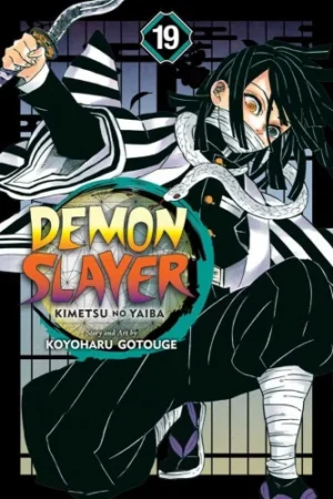 Demon Slayer manga vol. 19